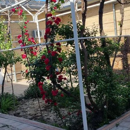 סמרקנד Hostel Muborak מראה חיצוני תמונה