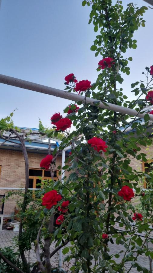 סמרקנד Hostel Muborak מראה חיצוני תמונה