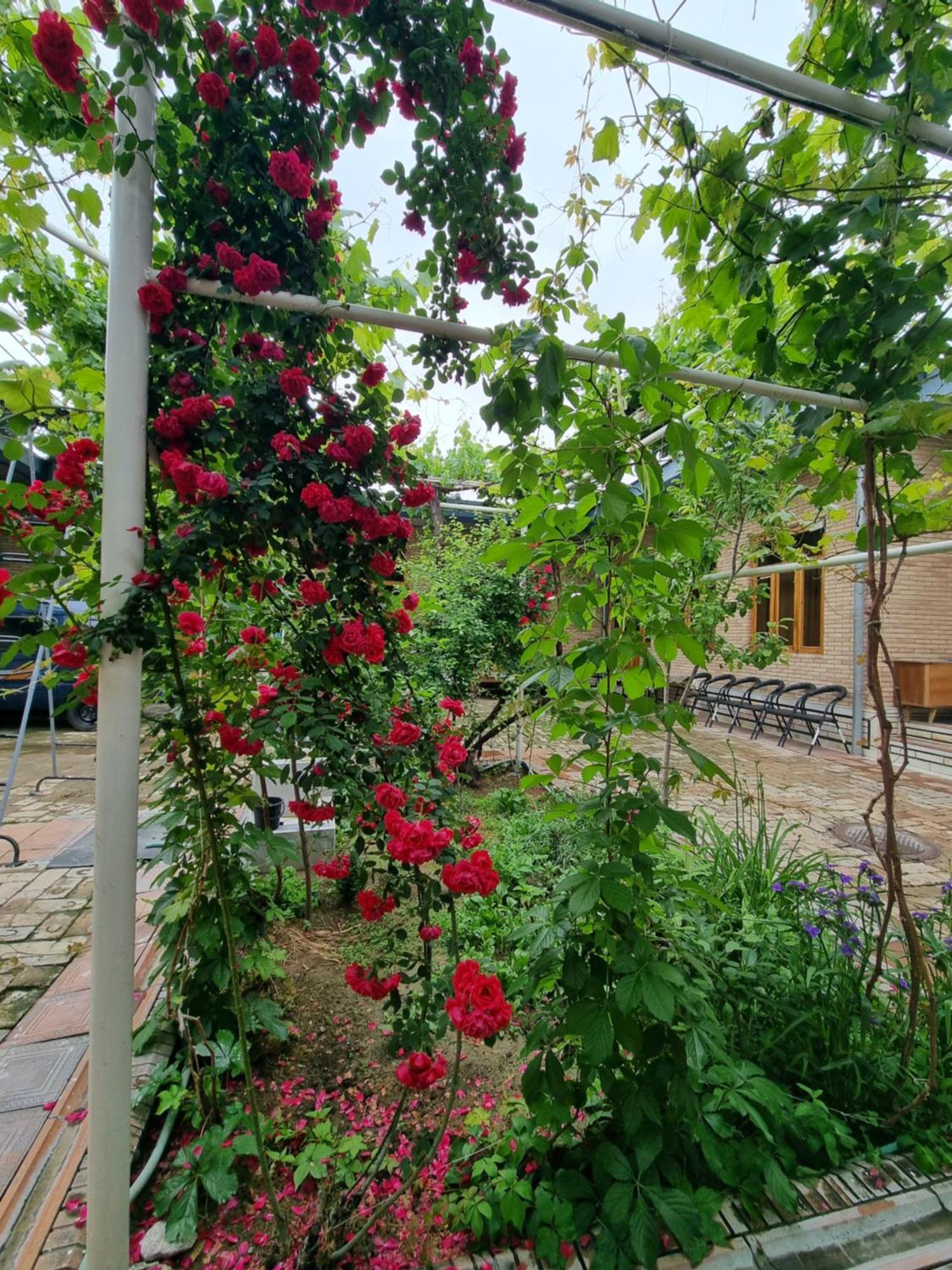 סמרקנד Hostel Muborak מראה חיצוני תמונה